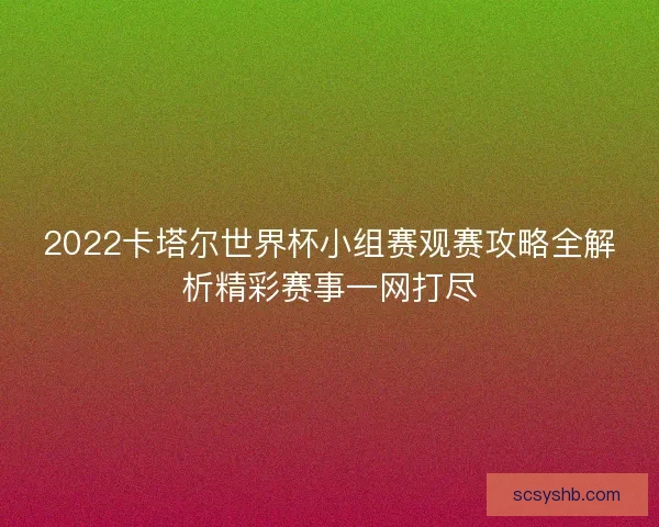 2022卡塔尔世界杯小组赛观赛攻略全解析精彩赛事一网打尽